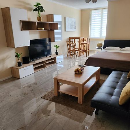 קארלובץ Studio Apartman Borlin מראה חיצוני תמונה